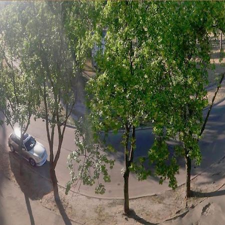 Однокомнатная Квартира На Улице Попудренко 基輔 外观 照片